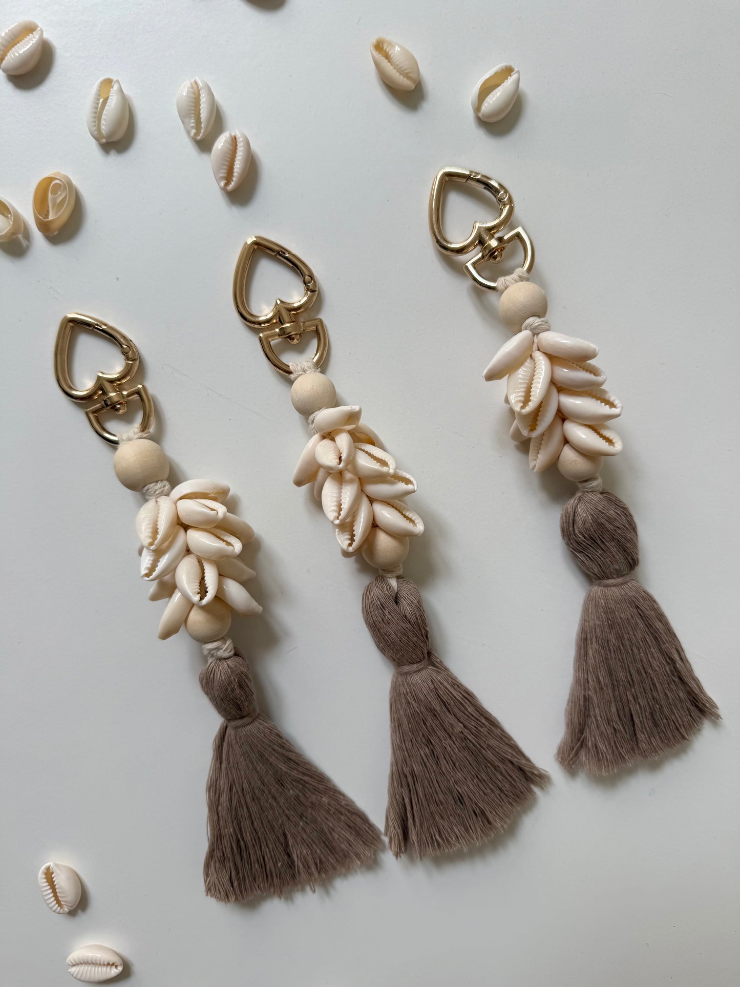 Coquillages et crustacés